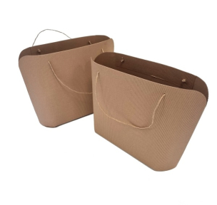 Brown paper bags with twisted handles