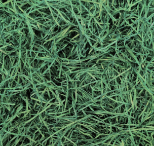 Medžio drožlės dekoravimui