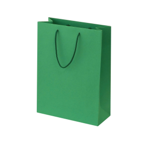 Green paper bags with fabric handles